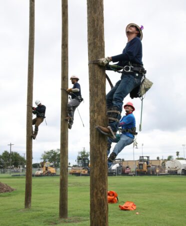 New students in the Electrical Lineworker and Management Technology program begin climbing the practice utility poles at TSTC’s Harlingen campus.